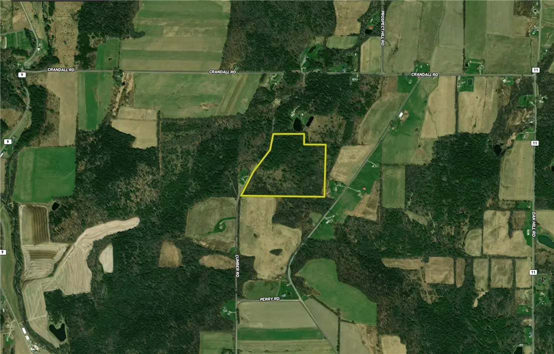 200 Cumber Road, Barton, New York 13734, Barton, New York 13734, ,Land,For Sale,200 Cumber Road, Barton, New York 13734,R1587362
