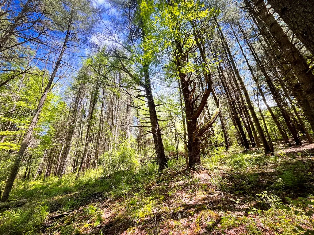 200 Cumber Road, Barton, New York 13734, Barton, New York 13734, ,Land,For Sale,200 Cumber Road, Barton, New York 13734,R1587362