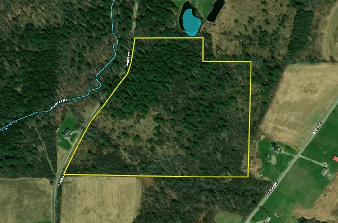 200 Cumber Road, Barton, New York 13734, Barton, New York 13734, ,Land,For Sale,200 Cumber Road, Barton, New York 13734,R1587362