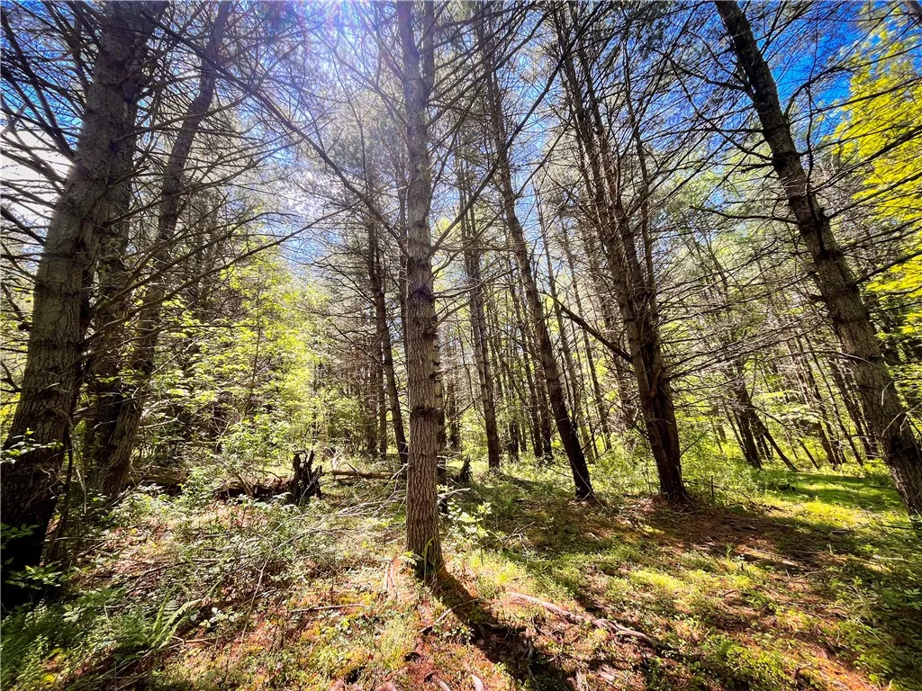 200 Cumber Road, Barton, New York 13734, Barton, New York 13734, ,Land,For Sale,200 Cumber Road, Barton, New York 13734,R1587362