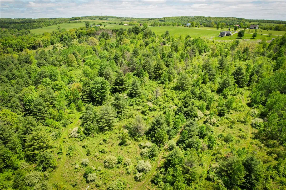 200 Cumber Road, Barton, New York 13734, Barton, New York 13734, ,Land,For Sale,200 Cumber Road, Barton, New York 13734,R1587362