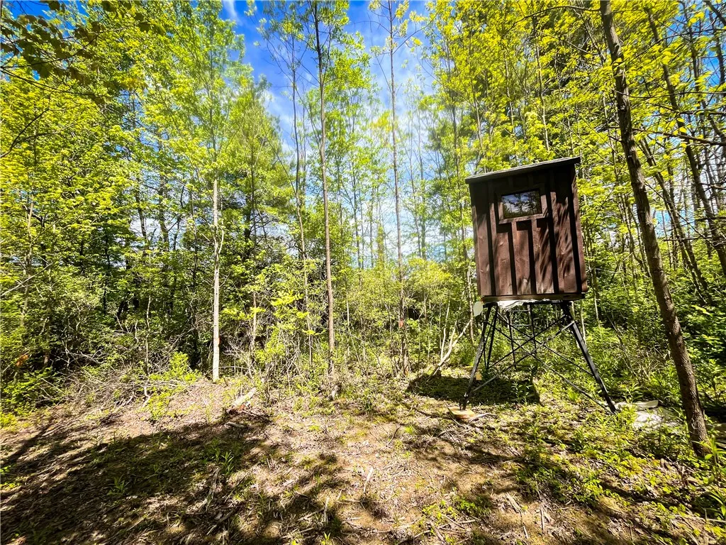 200 Cumber Road, Barton, New York 13734, Barton, New York 13734, ,Land,For Sale,200 Cumber Road, Barton, New York 13734,R1587362
