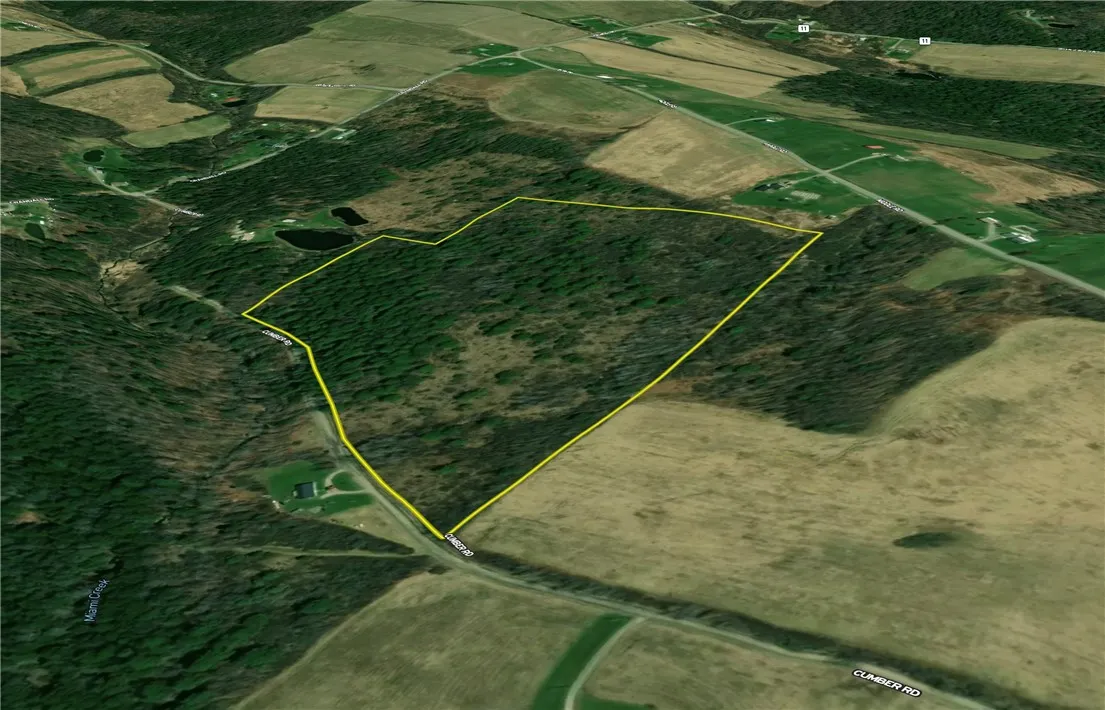 200 Cumber Road, Barton, New York 13734, Barton, New York 13734, ,Land,For Sale,200 Cumber Road, Barton, New York 13734,R1587362