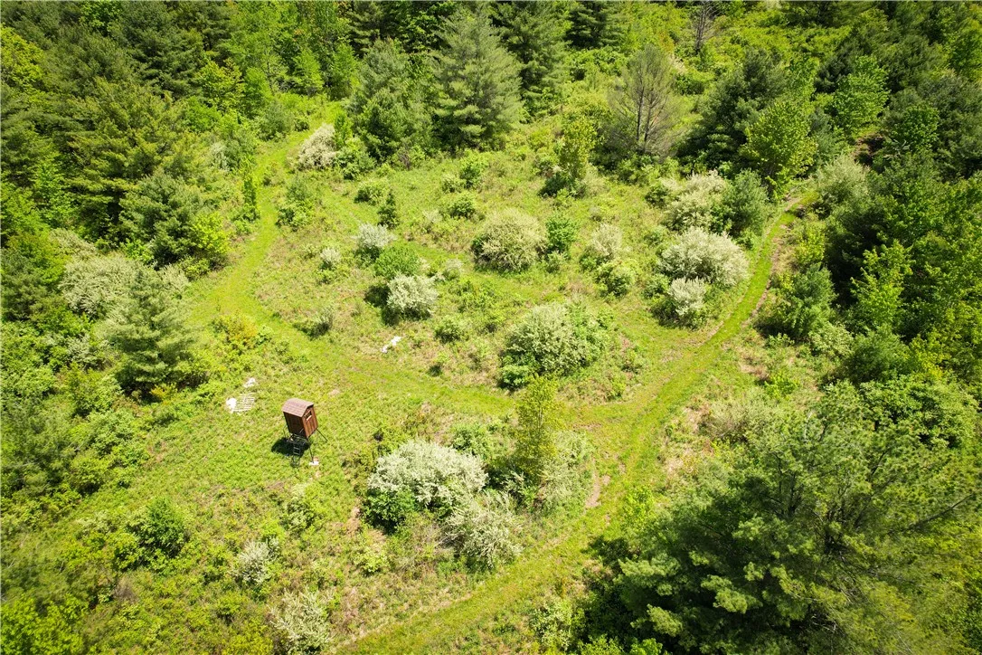200 Cumber Road, Barton, New York 13734, Barton, New York 13734, ,Land,For Sale,200 Cumber Road, Barton, New York 13734,R1587362