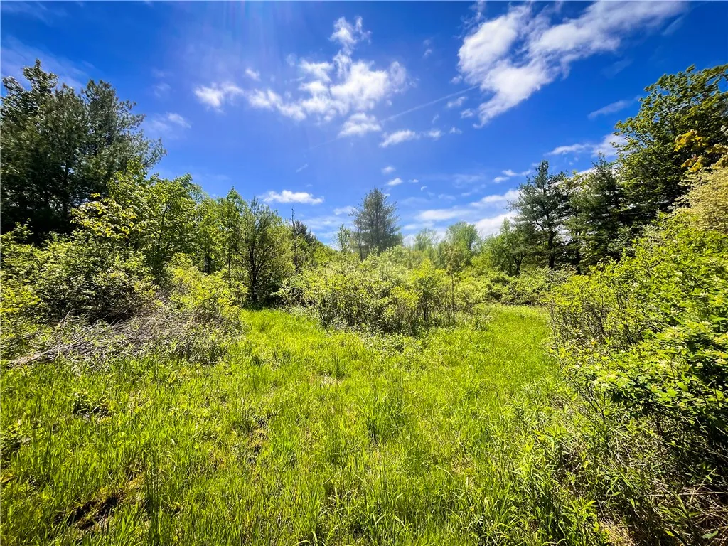 200 Cumber Road, Barton, New York 13734, Barton, New York 13734, ,Land,For Sale,200 Cumber Road, Barton, New York 13734,R1587362