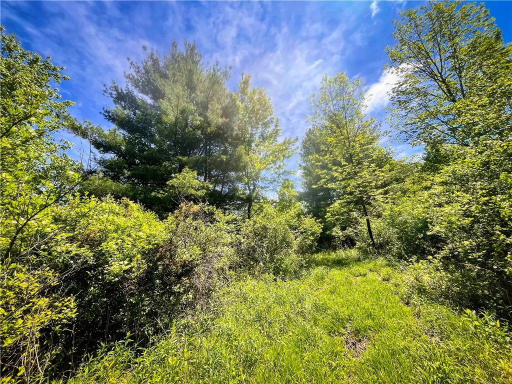 200 Cumber Road, Barton, New York 13734, Barton, New York 13734, ,Land,For Sale,200 Cumber Road, Barton, New York 13734,R1587362