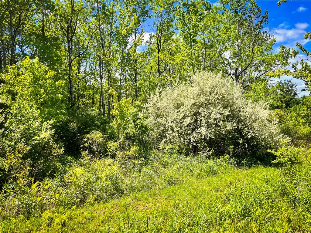 200 Cumber Road, Barton, New York 13734, Barton, New York 13734, ,Land,For Sale,200 Cumber Road, Barton, New York 13734,R1587362