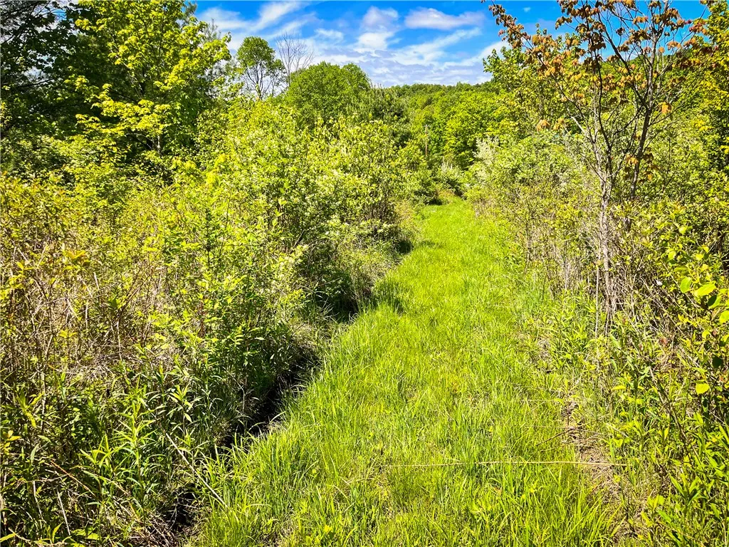 200 Cumber Road, Barton, New York 13734, Barton, New York 13734, ,Land,For Sale,200 Cumber Road, Barton, New York 13734,R1587362
