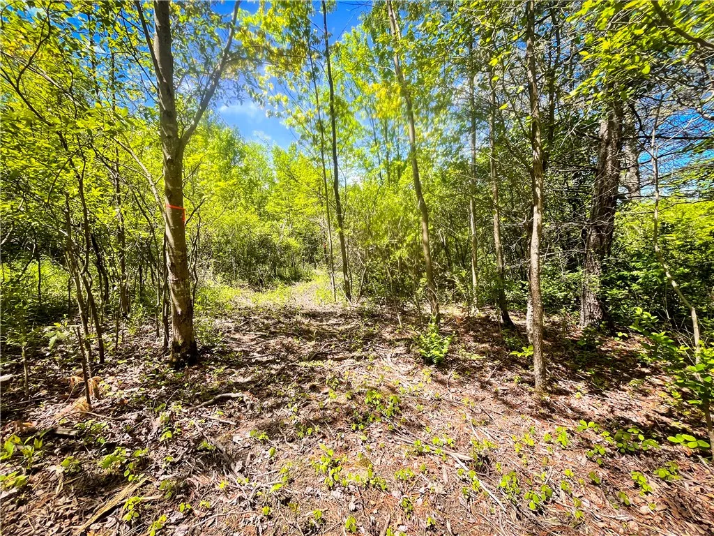 200 Cumber Road, Barton, New York 13734, Barton, New York 13734, ,Land,For Sale,200 Cumber Road, Barton, New York 13734,R1587362