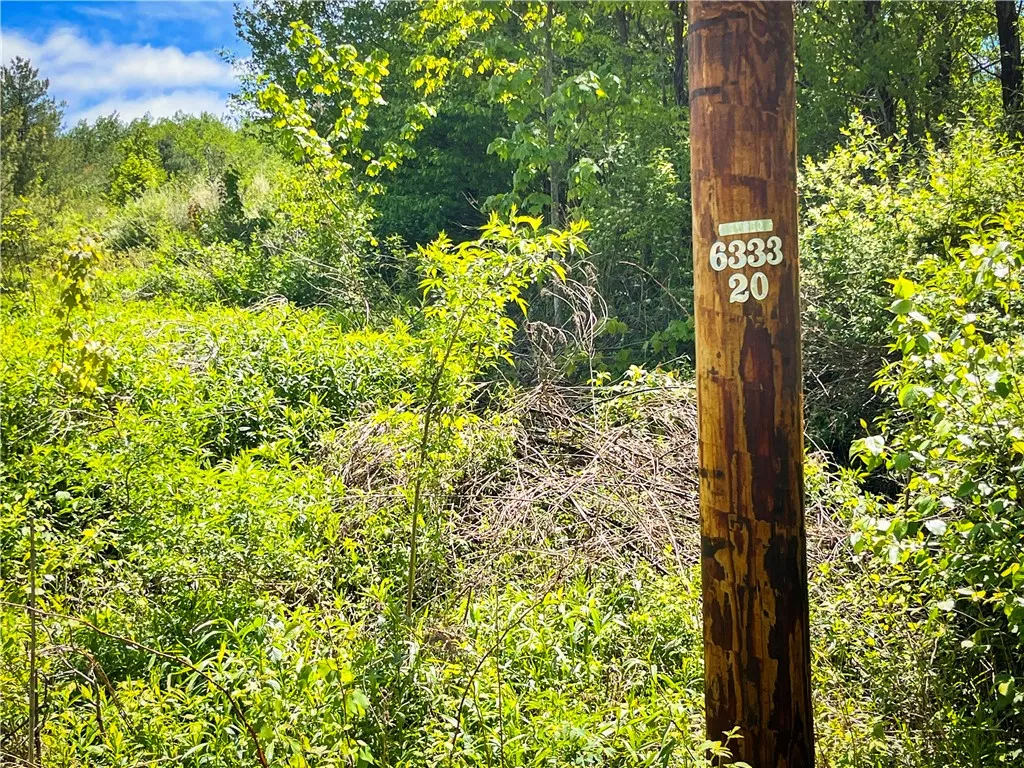200 Cumber Road, Barton, New York 13734, Barton, New York 13734, ,Land,For Sale,200 Cumber Road, Barton, New York 13734,R1587362