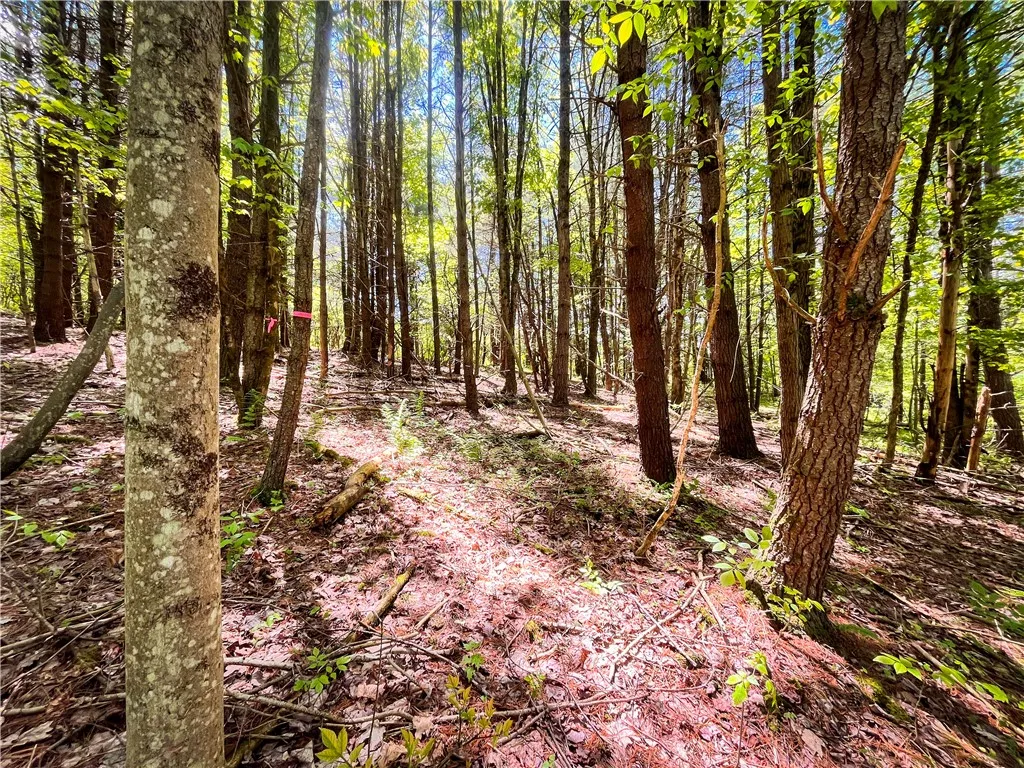 200 Cumber Road, Barton, New York 13734, Barton, New York 13734, ,Land,For Sale,200 Cumber Road, Barton, New York 13734,R1587362