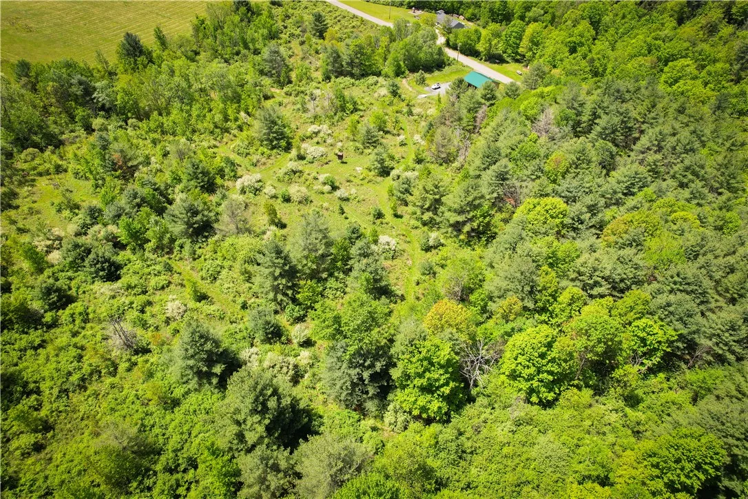 200 Cumber Road, Barton, New York 13734, Barton, New York 13734, ,Land,For Sale,200 Cumber Road, Barton, New York 13734,R1587362