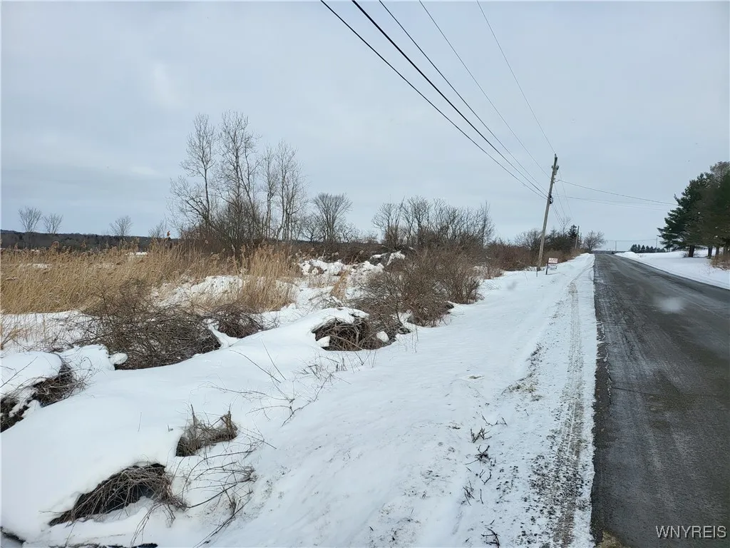 75 Acres Stinson Road, Arcade, New York 14009, Arcade, New York 14009, ,Land,Closed,75 Acres Stinson Road, Arcade, New York 14009,0,B1587477