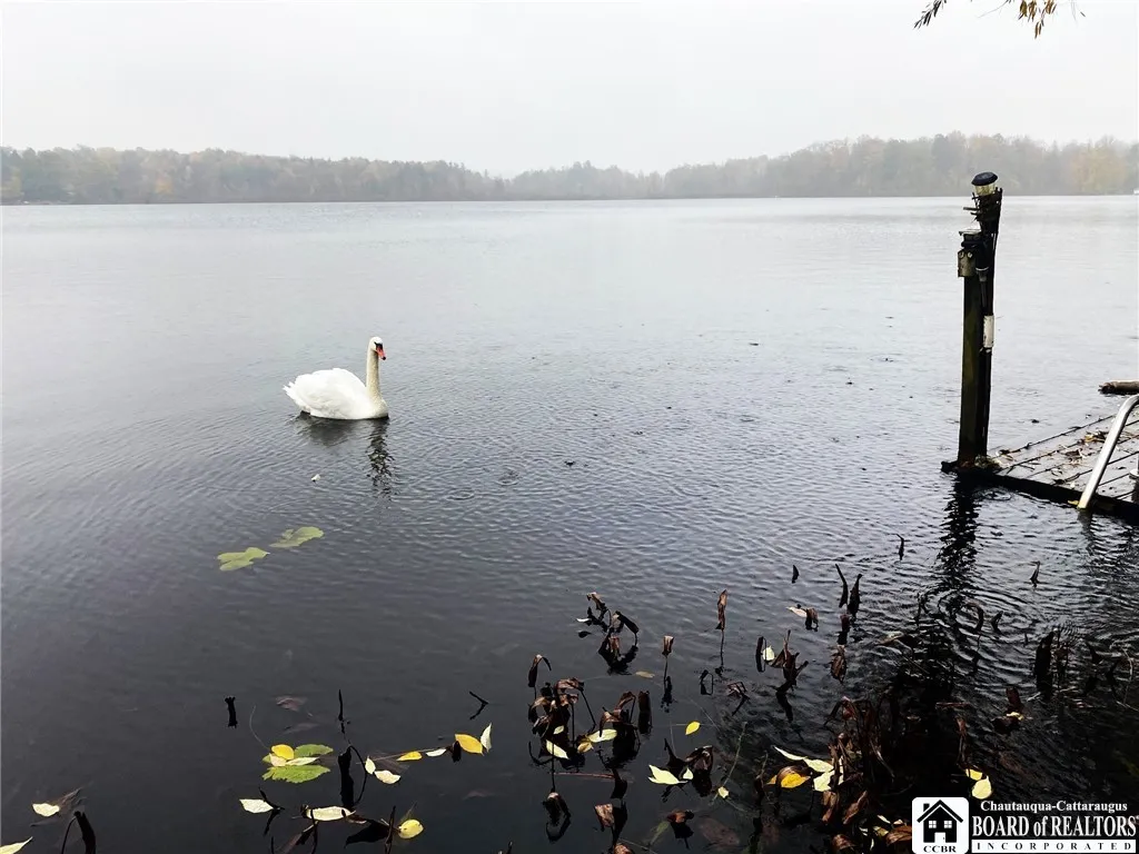 8216 Glasgow Road On The Lake, Pomfret, New York 1, Pomfret, New York 14718, 1 Bedroom Bedrooms, 4 Rooms Rooms,1 BathroomBathrooms,Land,For Sale,8216 Glasgow Road On The Lake, Pomfret, New York 1,R1587674