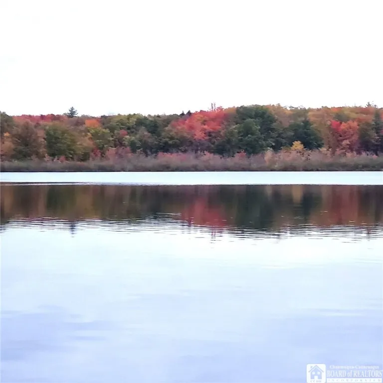 8216 Glasgow Road On The Lake, Pomfret, New York 1, Pomfret, New York 14718, 1 Bedroom Bedrooms, 4 Rooms Rooms,1 BathroomBathrooms,Land,For Sale,8216 Glasgow Road On The Lake, Pomfret, New York 1,R1587674