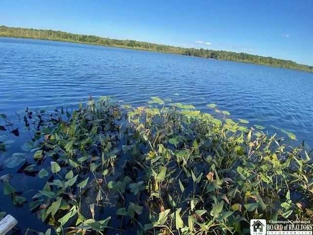 8216 Glasgow Road On The Lake, Pomfret, New York 1, Pomfret, New York 14718, 1 Bedroom Bedrooms, 4 Rooms Rooms,1 BathroomBathrooms,Land,For Sale,8216 Glasgow Road On The Lake, Pomfret, New York 1,R1587674
