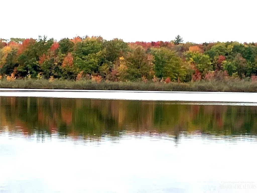 8216 Glasgow Road On The Lake, Pomfret, New York 1, Pomfret, New York 14718, 1 Bedroom Bedrooms, 4 Rooms Rooms,1 BathroomBathrooms,Land,For Sale,8216 Glasgow Road On The Lake, Pomfret, New York 1,R1587674