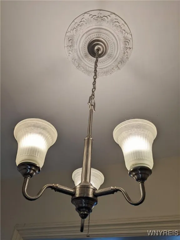 Dining room lighting fixture features elegant ceiling medallion