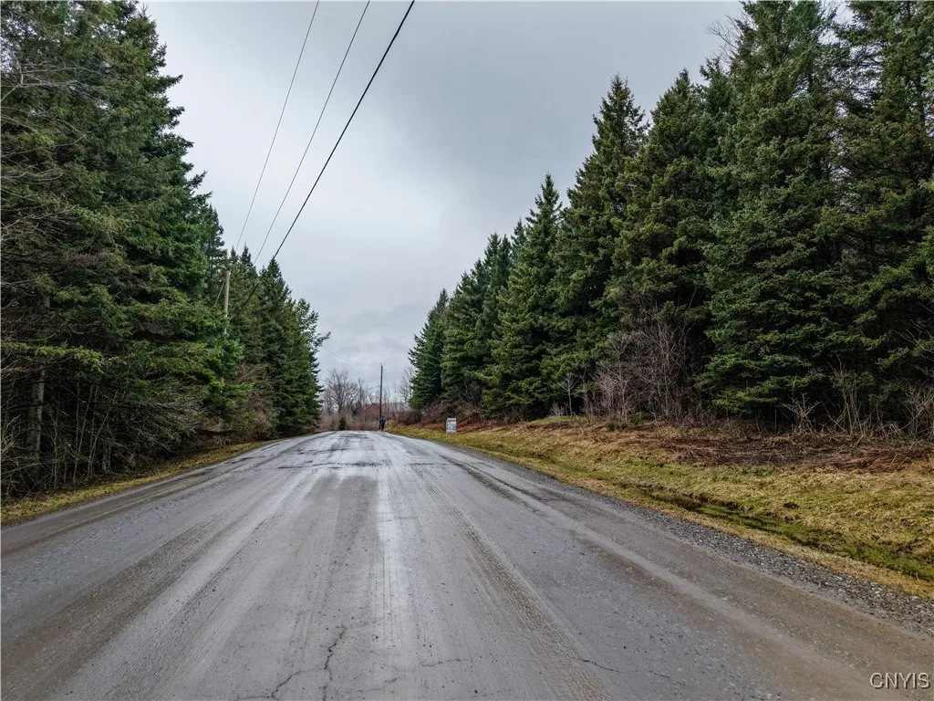 Cogar Drive, Schuyler, New York 13340, Schuyler, New York 13340, ,Land,For Sale,Cogar Drive, Schuyler, New York 13340,S1588181