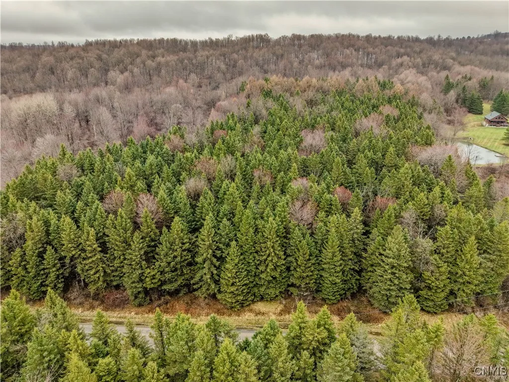 Cogar Drive, Schuyler, New York 13340, Schuyler, New York 13340, ,Land,For Sale,Cogar Drive, Schuyler, New York 13340,S1588181