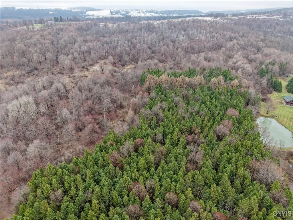 Cogar Drive, Schuyler, New York 13340, Schuyler, New York 13340, ,Land,For Sale,Cogar Drive, Schuyler, New York 13340,S1588181