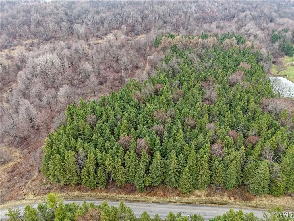 Cogar Drive, Schuyler, New York 13340, Schuyler, New York 13340, ,Land,For Sale,Cogar Drive, Schuyler, New York 13340,S1588181