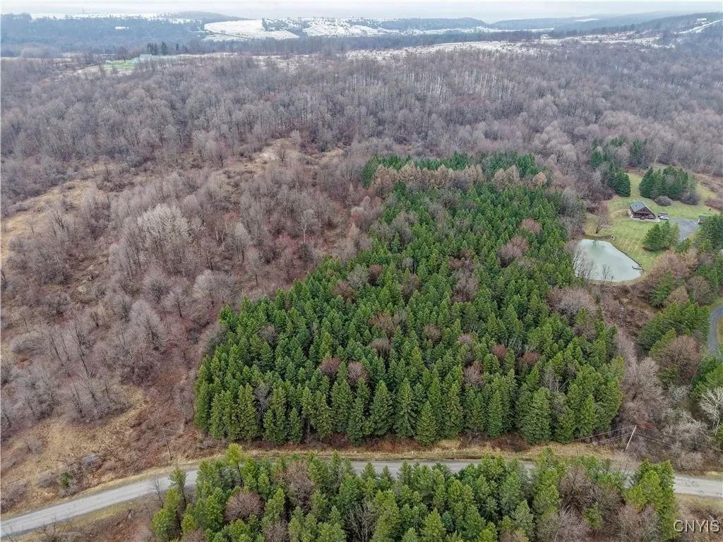 Cogar Drive, Schuyler, New York 13340, Schuyler, New York 13340, ,Land,For Sale,Cogar Drive, Schuyler, New York 13340,S1588181