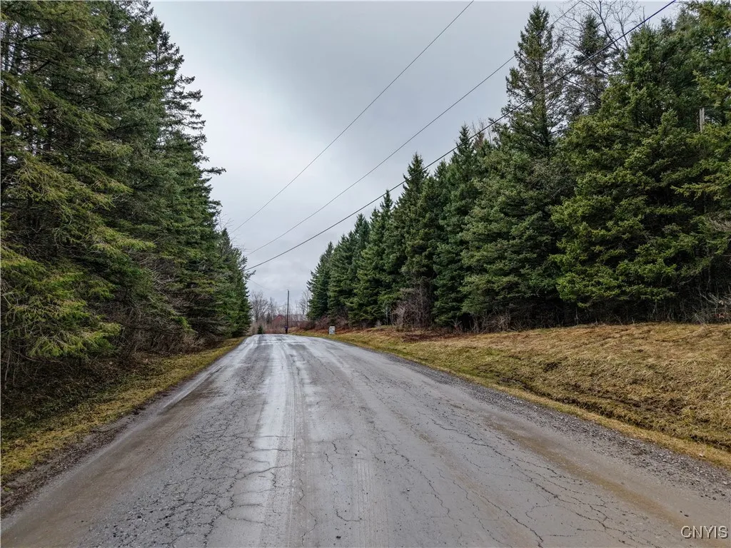 Cogar Drive, Schuyler, New York 13340, Schuyler, New York 13340, ,Land,For Sale,Cogar Drive, Schuyler, New York 13340,S1588181
