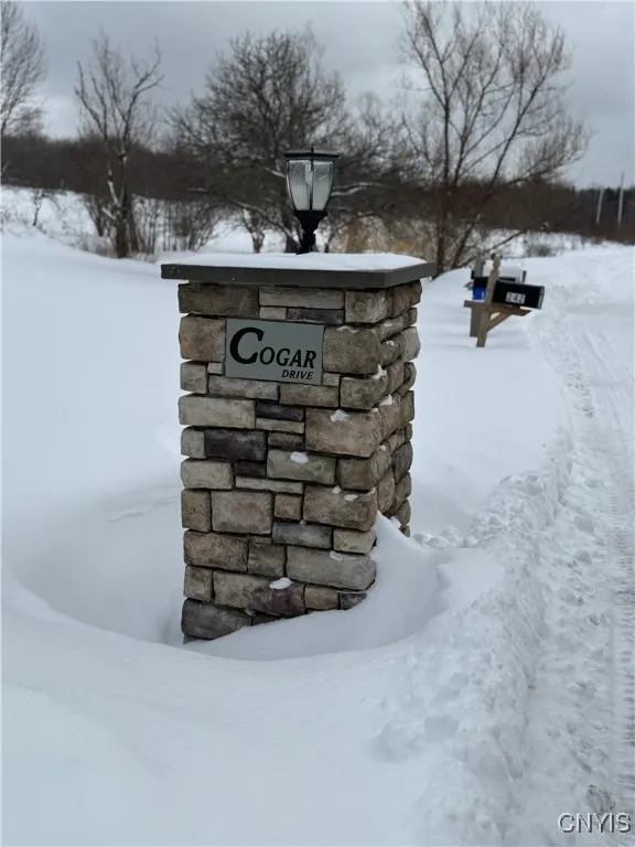 Cogar Drive, Schuyler, New York 13340, Schuyler, New York 13340, ,Land,For Sale,Cogar Drive, Schuyler, New York 13340,S1588181