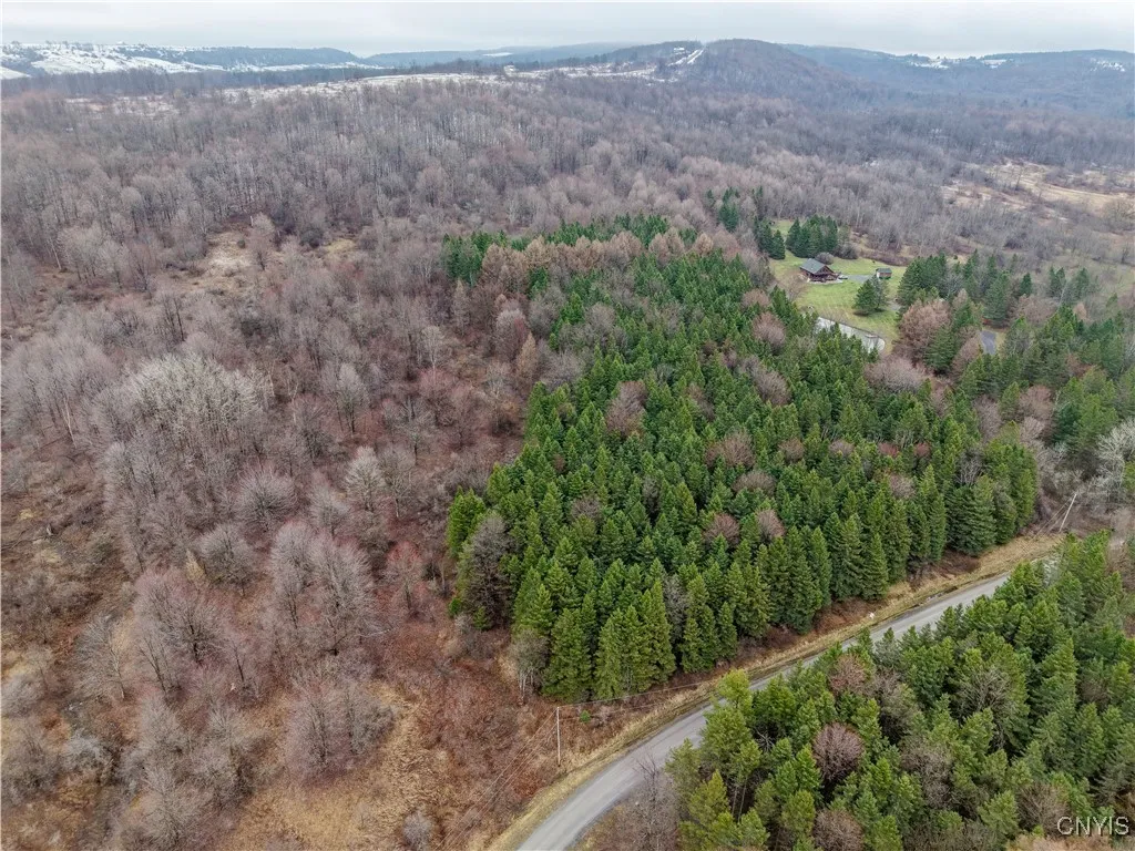 Cogar Drive, Schuyler, New York 13340, Schuyler, New York 13340, ,Land,For Sale,Cogar Drive, Schuyler, New York 13340,S1588181