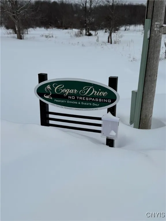 Cogar Drive, Schuyler, New York 13340, Schuyler, New York 13340, ,Land,For Sale,Cogar Drive, Schuyler, New York 13340,S1588181