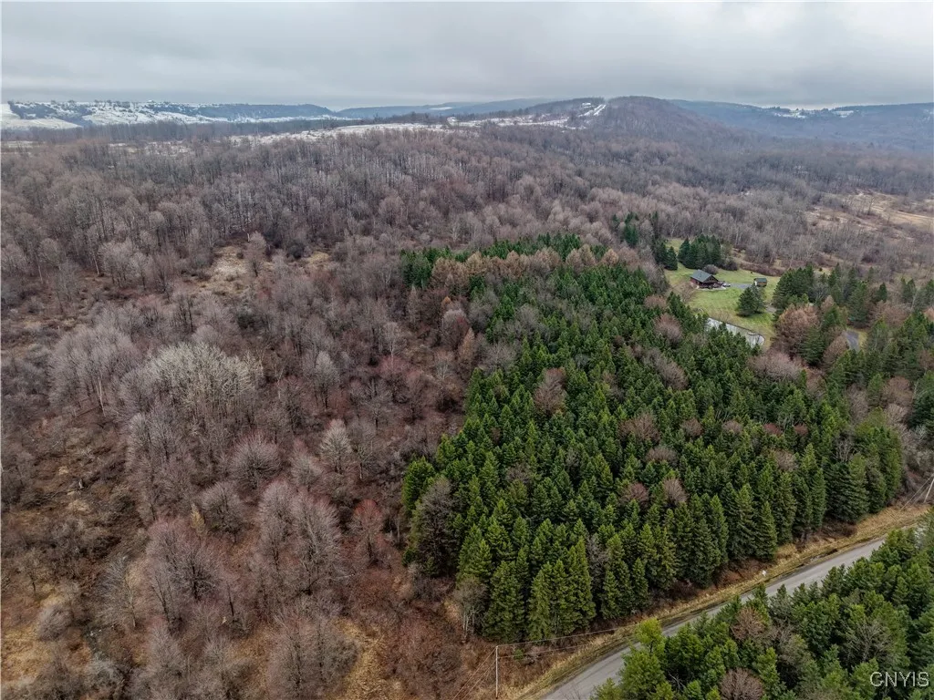 Cogar Drive, Schuyler, New York 13340, Schuyler, New York 13340, ,Land,For Sale,Cogar Drive, Schuyler, New York 13340,S1588181