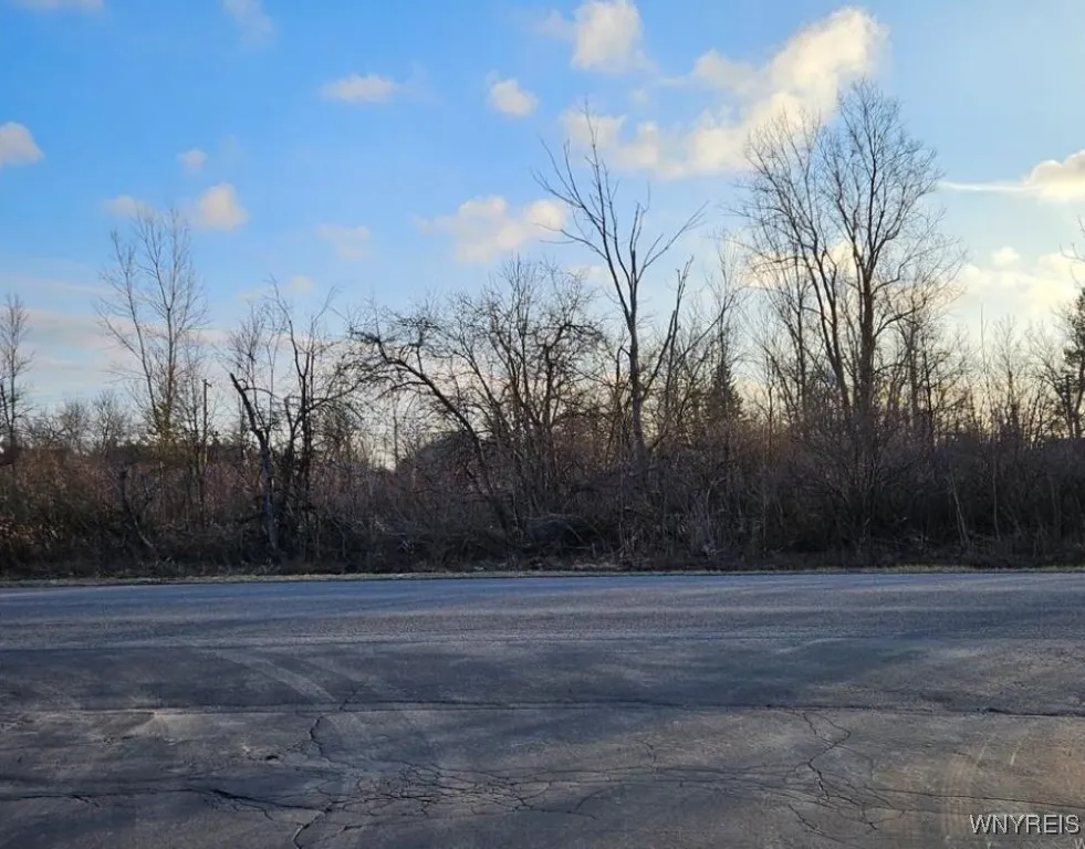 291 Erie Street, Lancaster, New York 14086, Lancaster, New York 14086, ,Land,Closed,291 Erie Street, Lancaster, New York 14086,0,B1587995