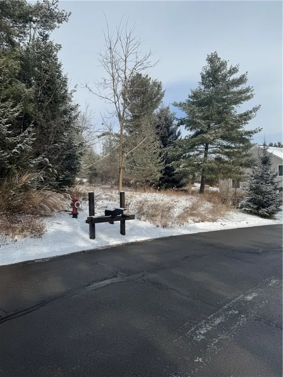5566 Lakewood, South Bristol, New York 14424, South Bristol, New York 14424, ,Land,For Sale,5566 Lakewood, South Bristol, New York 14424,0,R1588260