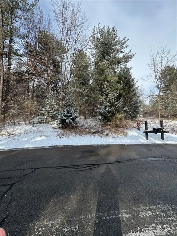 5566 Lakewood, South Bristol, New York 14424, South Bristol, New York 14424, ,Land,For Sale,5566 Lakewood, South Bristol, New York 14424,0,R1588260