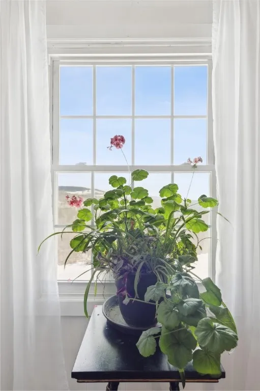 Beautiful natural light and exceptional views from the living room