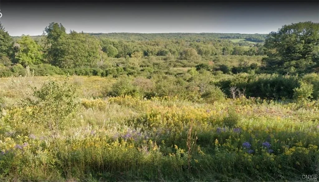 00 State Route 226 Hwy, Tyrone, New York 14815, Tyrone, New York 14815, ,Land,For Sale,00 State Route 226 Hwy, Tyrone, New York 14815,0,S1588424