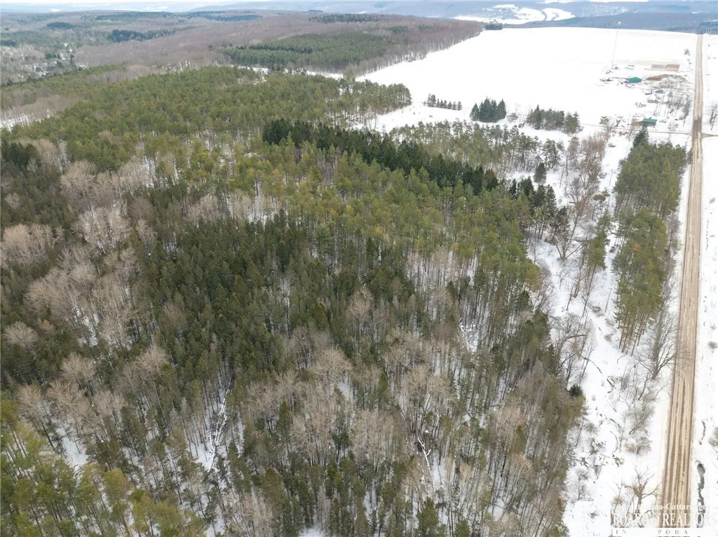 954 Lyndon Road, Lyndon, New York 14737, Lyndon, New York 14737, 3 Bedrooms Bedrooms, 9 Rooms Rooms,2 BathroomsBathrooms,Residential,Closed,954 Lyndon Road, Lyndon, New York 14737,0,R1588212