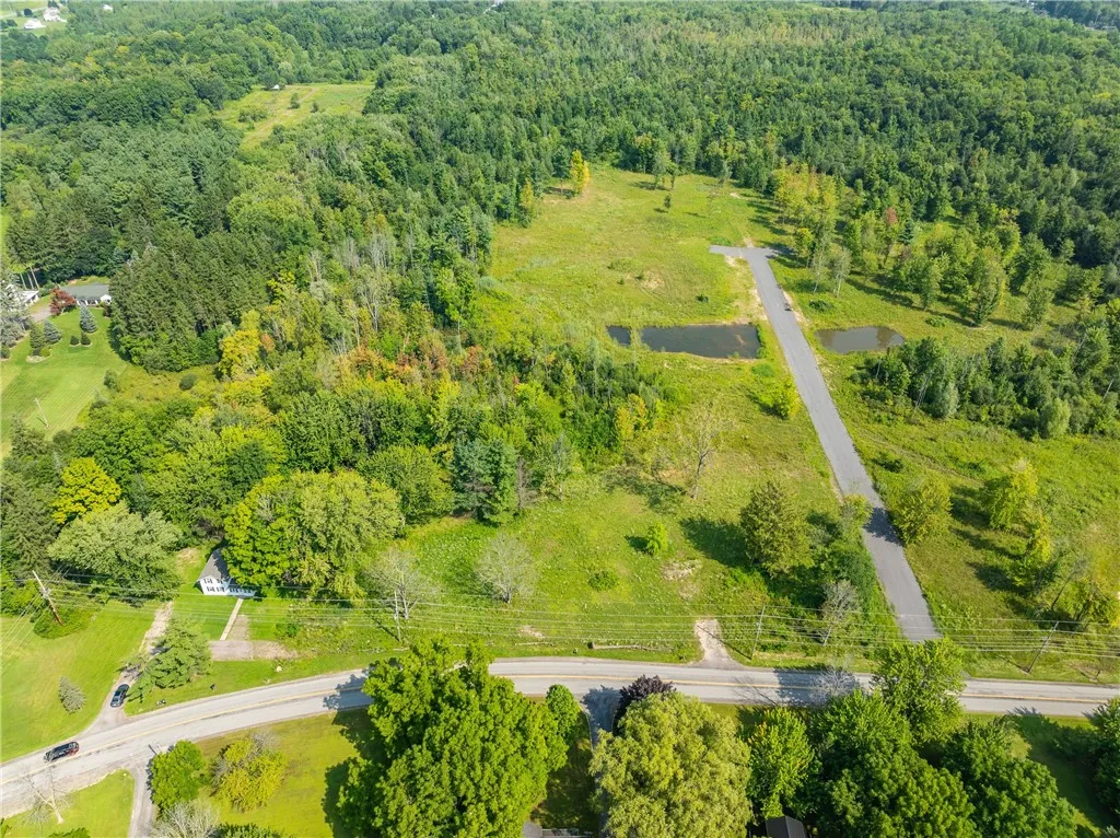 Lot 11 Clevenger Rd, Ontario, New York 14519, Ontario, New York 14519, ,Land,For Sale,Lot 11 Clevenger Rd, Ontario, New York 14519,R1588393