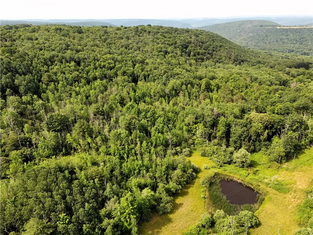 8023 Peacock Road, Bath, New York 14810, Bath, New York 14810, ,Land,Closed,8023 Peacock Road, Bath, New York 14810,0,R1588466