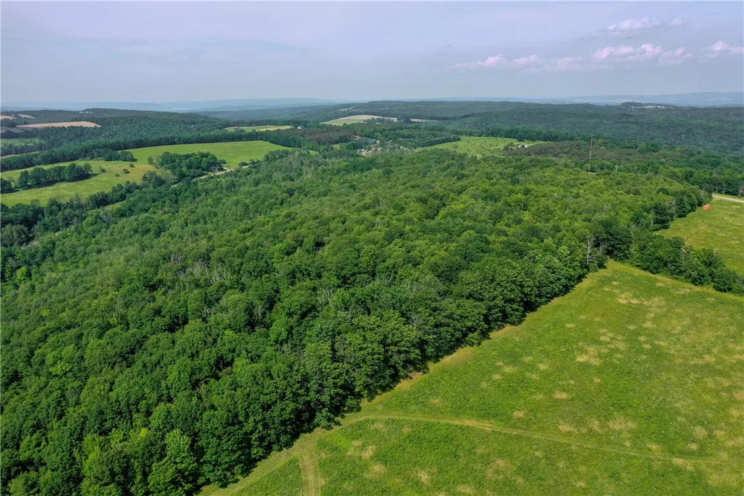 8023 Peacock Road, Bath, New York 14810, Bath, New York 14810, ,Land,Closed,8023 Peacock Road, Bath, New York 14810,0,R1588466