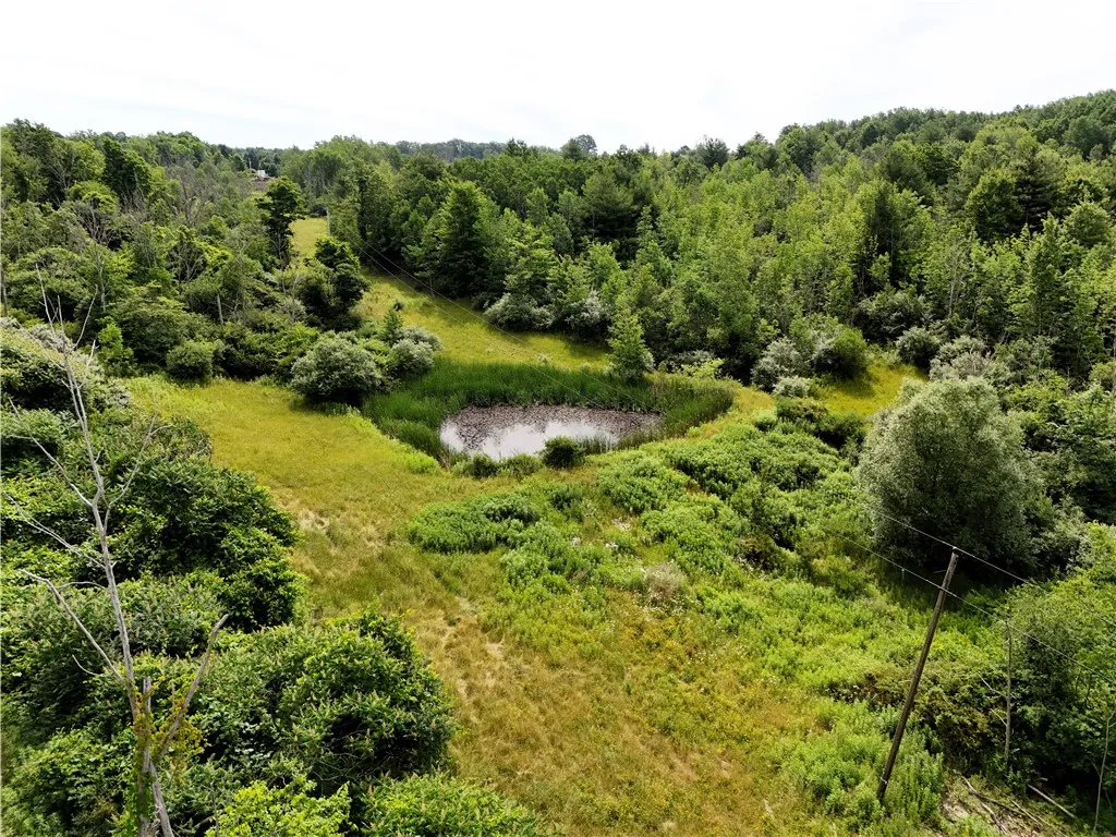 8023 Peacock Road, Bath, New York 14810, Bath, New York 14810, ,Land,Closed,8023 Peacock Road, Bath, New York 14810,0,R1588466