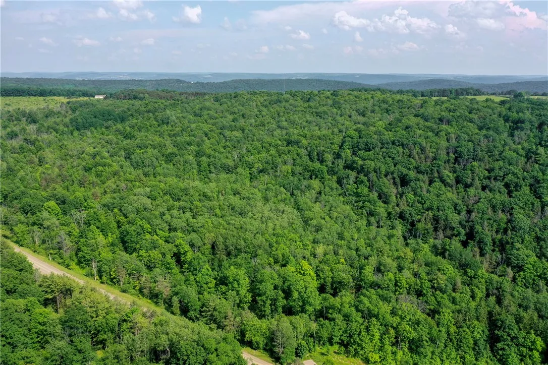 8023 Peacock Road, Bath, New York 14810, Bath, New York 14810, ,Land,Closed,8023 Peacock Road, Bath, New York 14810,0,R1588466