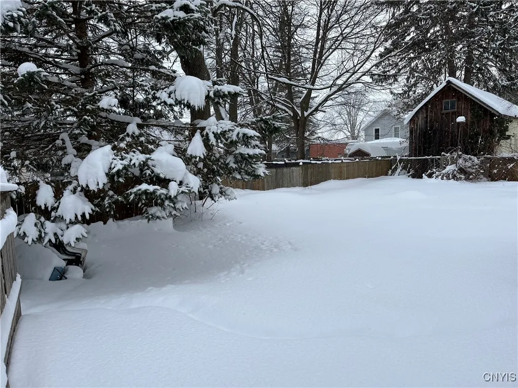 Fully fenced in back yard