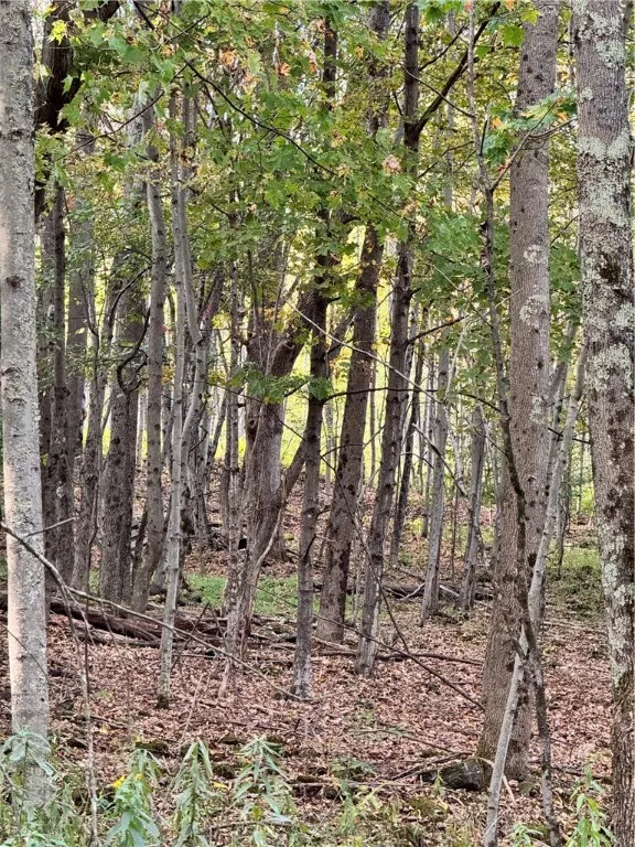 60 Gobblers Knob Road, Colchester, New York 13752, Colchester, New York 13752, 2 Bedrooms Bedrooms, 7 Rooms Rooms,2 BathroomsBathrooms,Residential,For Sale,60 Gobblers Knob Road, Colchester, New York 13752,0,R1587945