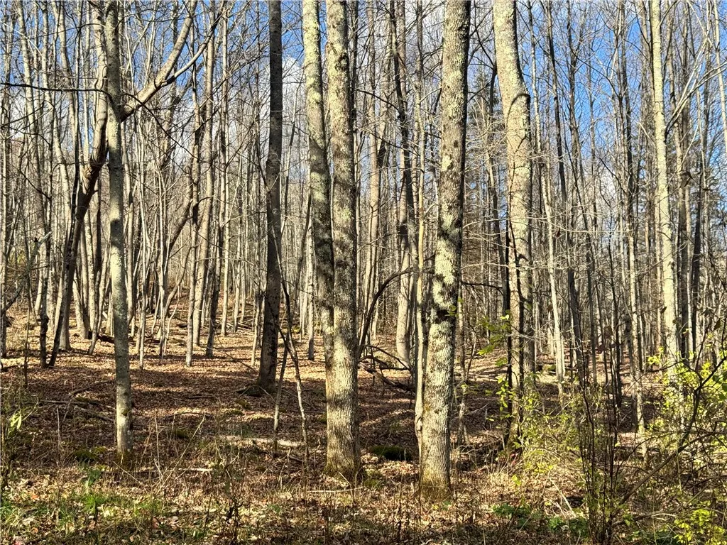 60 Gobblers Knob Road, Colchester, New York 13752, Colchester, New York 13752, 2 Bedrooms Bedrooms, 7 Rooms Rooms,2 BathroomsBathrooms,Residential,For Sale,60 Gobblers Knob Road, Colchester, New York 13752,0,R1587945