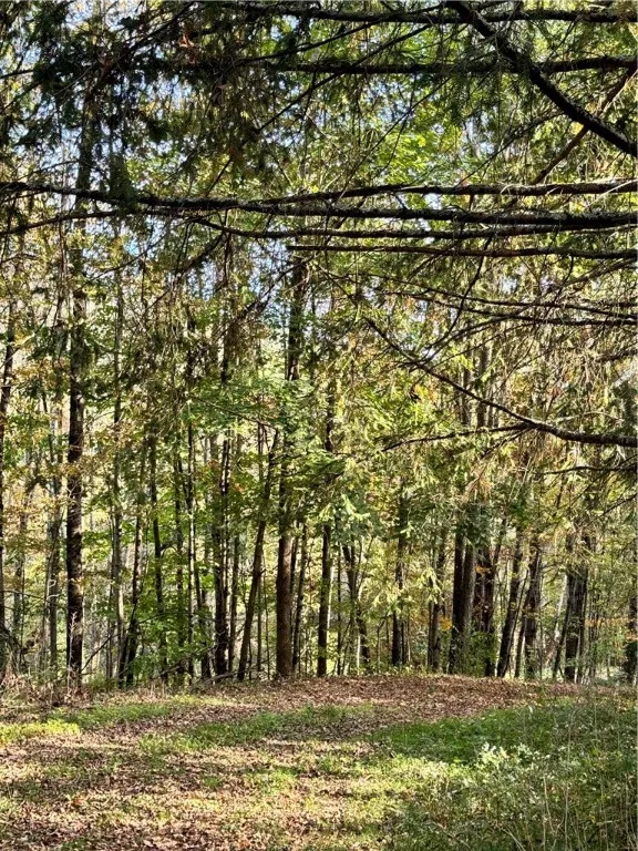 60 Gobblers Knob Road, Colchester, New York 13752, Colchester, New York 13752, 2 Bedrooms Bedrooms, 7 Rooms Rooms,2 BathroomsBathrooms,Residential,For Sale,60 Gobblers Knob Road, Colchester, New York 13752,0,R1587945