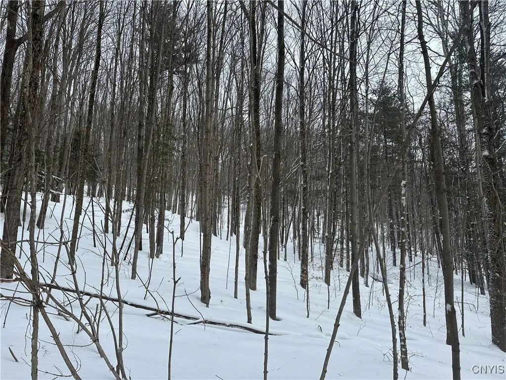 0000 Song Mountain Rd Road, Preble, New York 13141, Preble, New York 13141, ,Land,Closed,0000 Song Mountain Rd Road, Preble, New York 13141,0,S1589070