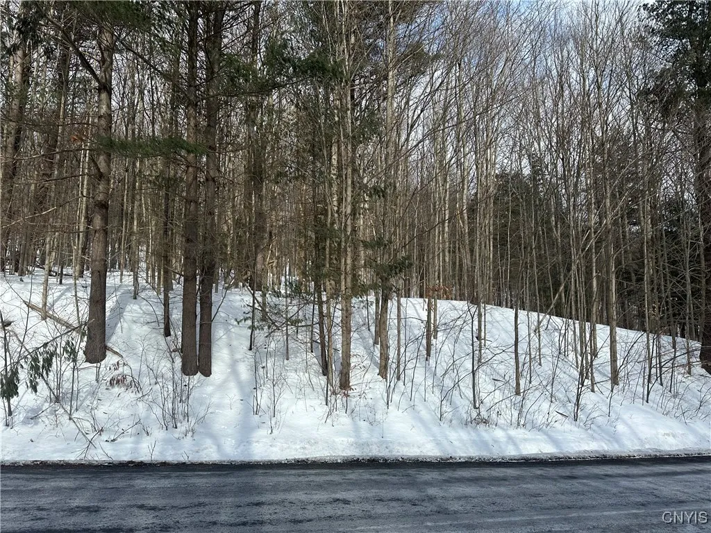 0000 Song Mountain Rd Road, Preble, New York 13141, Preble, New York 13141, ,Land,Closed,0000 Song Mountain Rd Road, Preble, New York 13141,0,S1589070