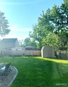 Shed in Springtime
